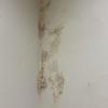 Thumb img 20260325 wa0012