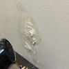 Thumb img 20260325 wa0013