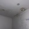 Thumb img 1103