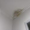 Thumb img 1107