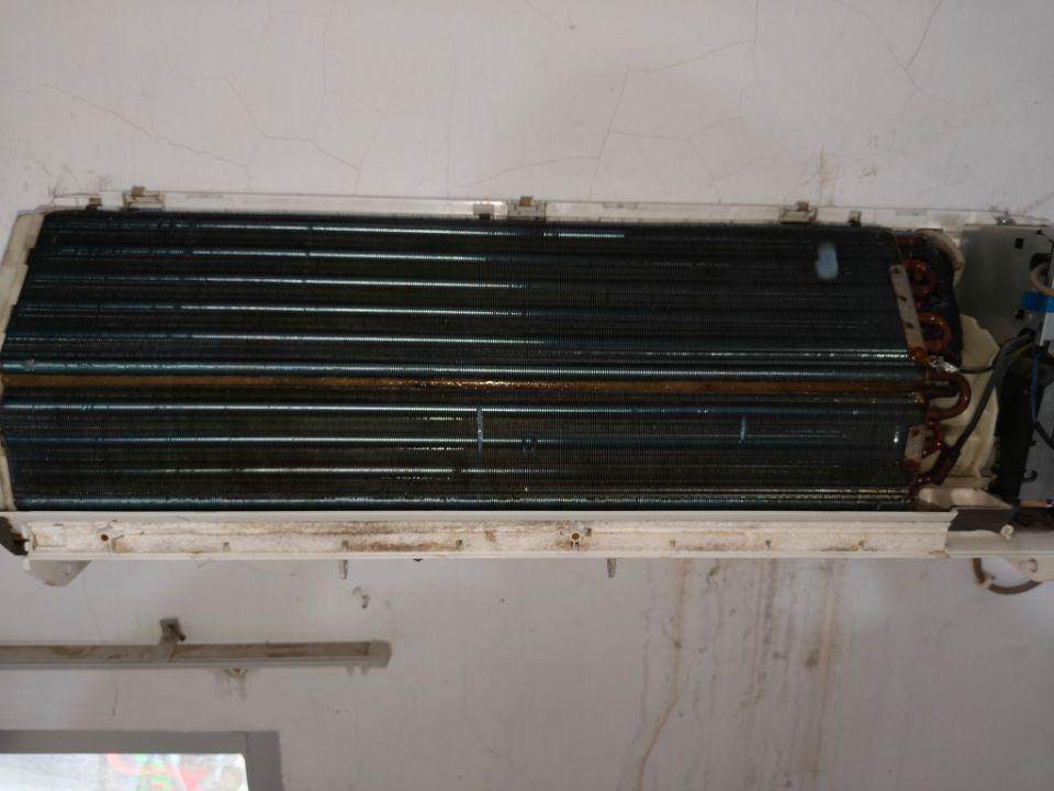 Img 20260421124032 524