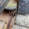Thumb img 20260424 wa0003