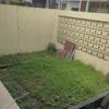 Thumb img 20260425 wa0001