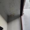 Thumb img 20260413 wa0007