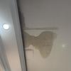 Thumb img 3321