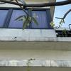 Thumb img 3464
