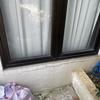 Thumb img 3463