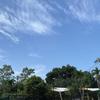 Thumb img 0484