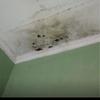Thumb img 20260524 173349
