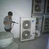 Sejasa.com