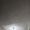 Thumb img 20260609 201409 1738724528151488984