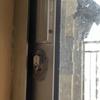 Thumb img 9351