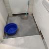 Thumb img 3592
