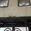 Thumb img 4420