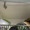 Thumb img 7852