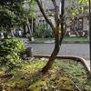 Thumb img 6150