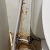 Thumb img 3499