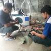 Sejasa.com