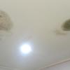 Thumb img 20260701 114149 9185209488257039246