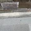 Thumb img 1705