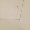 Thumb img 20260704 wa0059