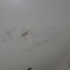 Thumb img 20260705 wa0004