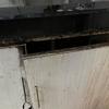 Thumb img 5356