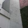 Thumb whatsapp image 2026 06 01 at 04.32.26