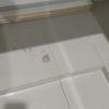 Thumb img 6947