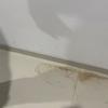 Thumb img 6948