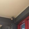 Thumb img 9876