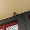 Thumb img 9875