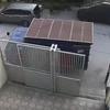 Thumb img 4420