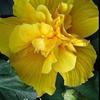 Thumb img 20260727 wa0003
