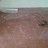 Thumb img 20260730 wa0012