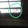 Thumb 9ab56948 fc72 4549 b2a1 beaf586a272f