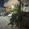 Thumb img 7515