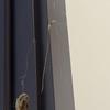 Thumb file