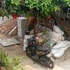 Sejasa.com