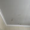 Thumb img 5427