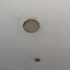 Thumb 99587aad 00f0 45ab bc70 811ae93f62ba