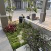Thumb img 3788