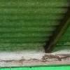 Thumb img 20260930 065151 5297795986815344627