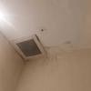 Thumb img 20261005 wa0011