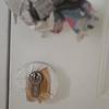 Thumb img 20261010 wa0000