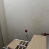 Thumb file