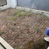 Thumb img 5042