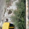 Thumb img 5044