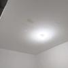 Thumb img 20261028 051722