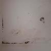Thumb img 20261028 093437 5372207466425831741